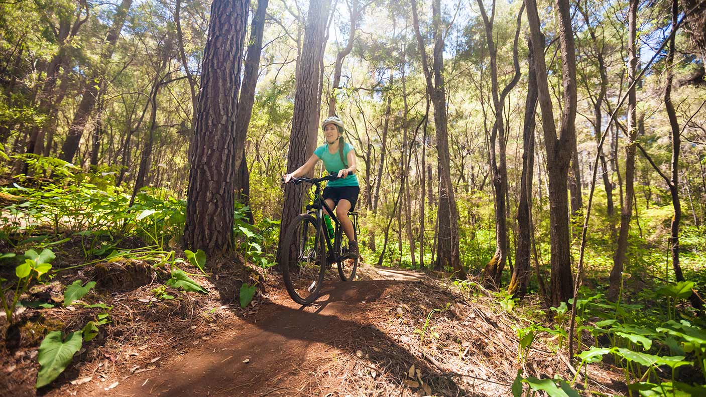 前视图的年轻女子山地自行车在森林