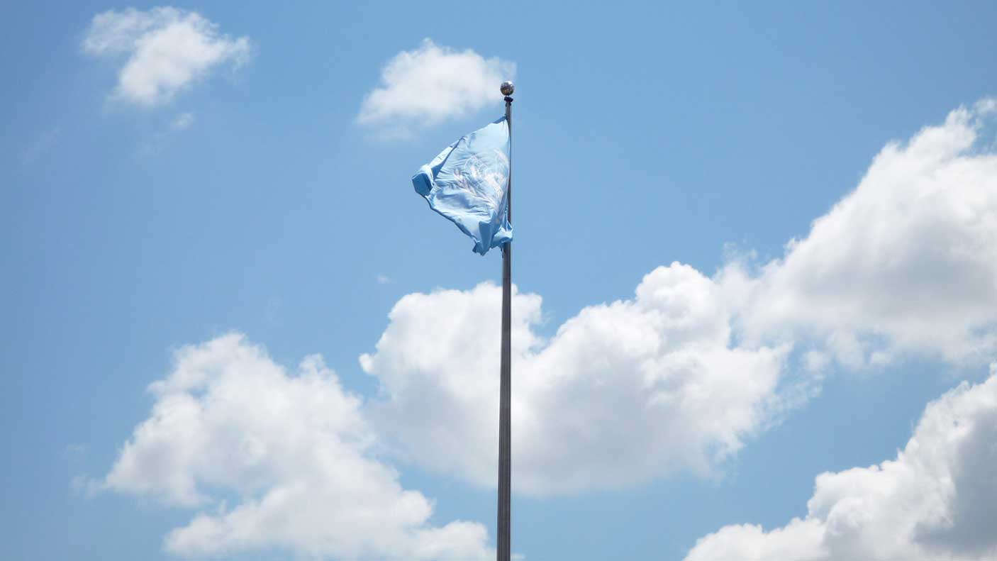 以天空为背景的联合国旗帜。
