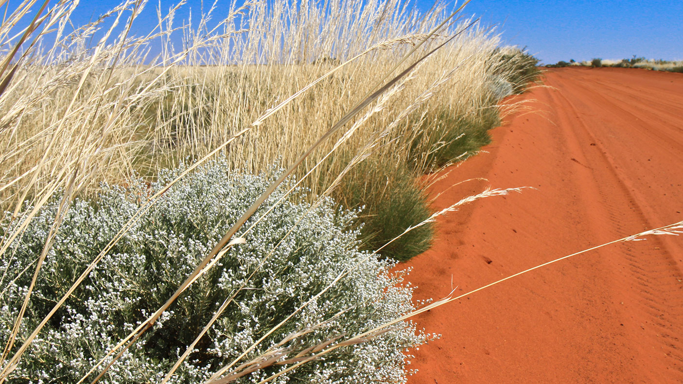 澳大利亚西部的红色土路
