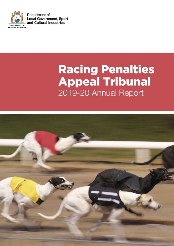 赛车罚款上诉法庭2019 -20年度报告